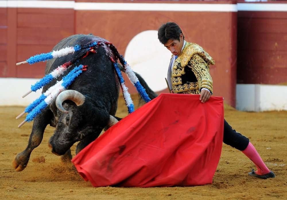 Landes : en grève de la faim contre la corrida Photo-d-illustration-festival-de-corrida-de-la_370019_536x374p