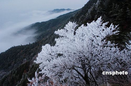 قد نكابر احياناً مثل الجبل....ولكن 377136