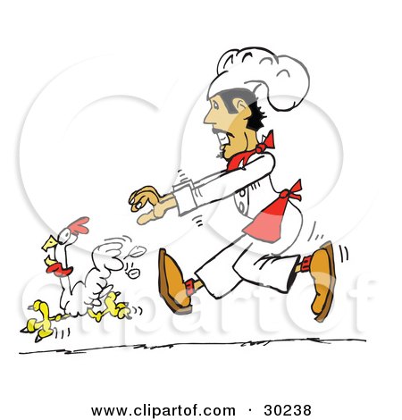 عالم حواء 30238-Clipart-Illustration-Of-A-Hispanic-Male-Chef-Chasing-A-White-Chicken-Bird-Around-A-Kitchen