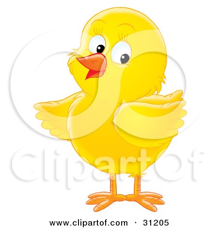  شاب فافى خاااااااااالص هيدخل الجيش 31205-Clipart-Illustration-Of-An-Adorable-Yellow-Chick-Looking-Back