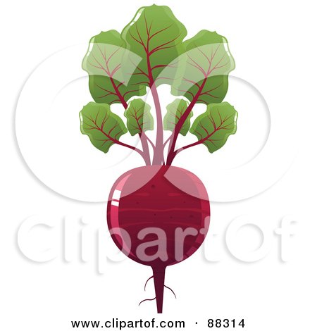 International friendlies 88314-Royalty-Free-RF-Clipart-Illustration-Of-A-Shiny-Red-Beet-With-Leaves