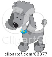 Royalty-free Clip Art: Cute Grey Poodle Puppy Dog Wearing A Blue Collar With Yellow Spots And Sporting A Puppy Clip