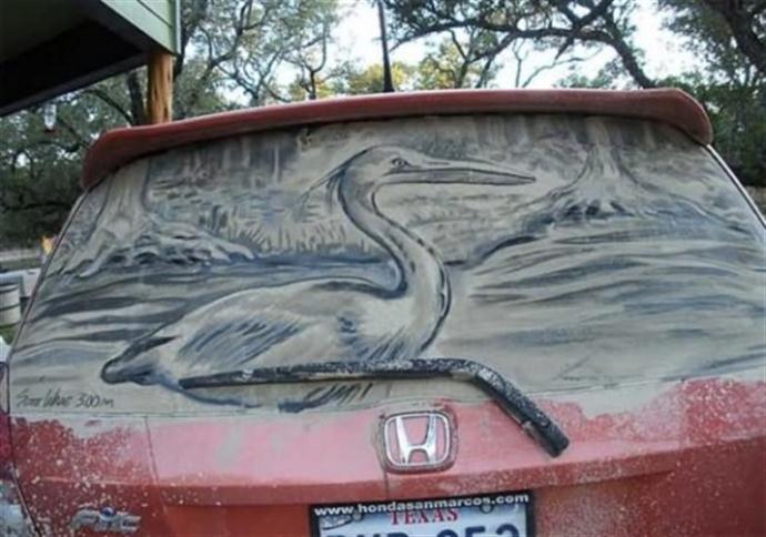  فن الرسم بغبار نوافذ السيارات!  24c
