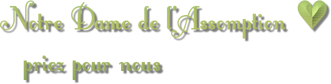 Prions du  6 au 15Août Août en Eglise la neuvaine pour préparer la fête de l'Assomption de la Sainte vierge Marie - Page 2 2725290