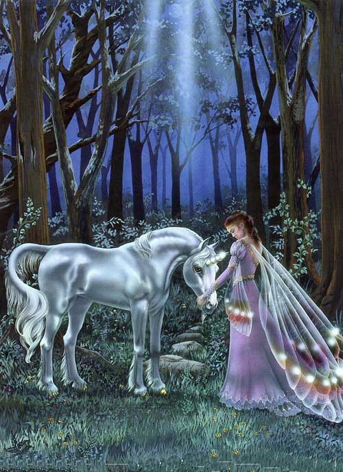 fairy and unicorn