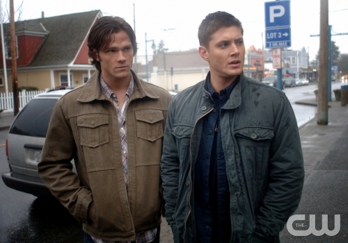 3x11 Mystery Spot 00501280607