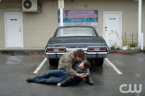 3x11 Mystery Spot 00501340ebc