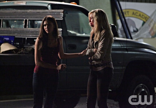 The Vampire Diaries - Page 13 0059020024c