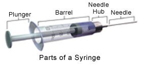  intradermal injection sites,procedure En1278684