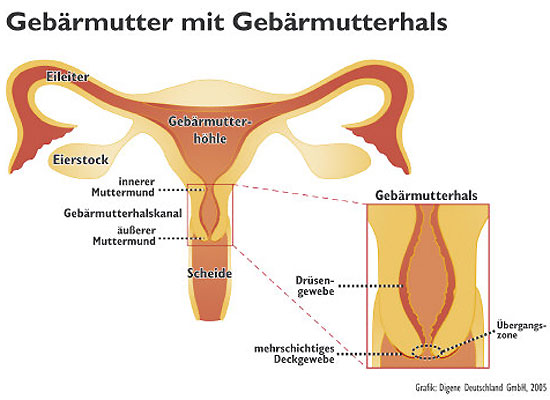 Impf-Aktionen HPV_gross