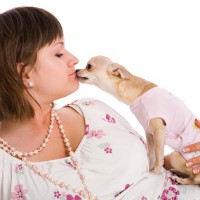 Kebiasaan di Rumah yang Bisa Bikin Sakit Anjing-dalam-ts