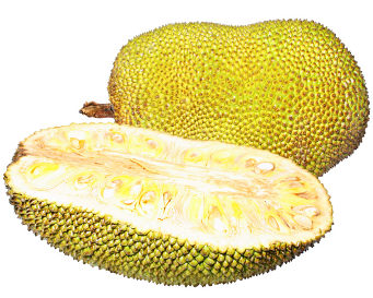 Nangka, Buah Pencegah Sakit Jantung Nangka