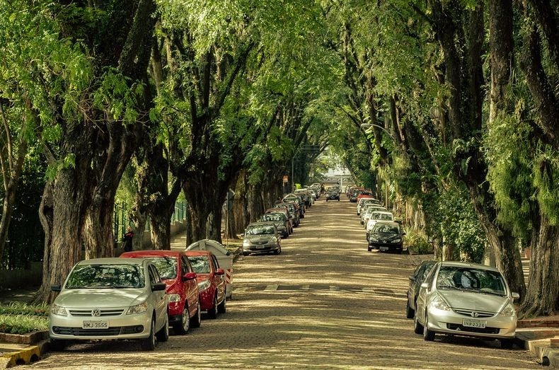 Inikah Jalan Raya Paling Rimbun Sedunia? 195314_jalanbagus1