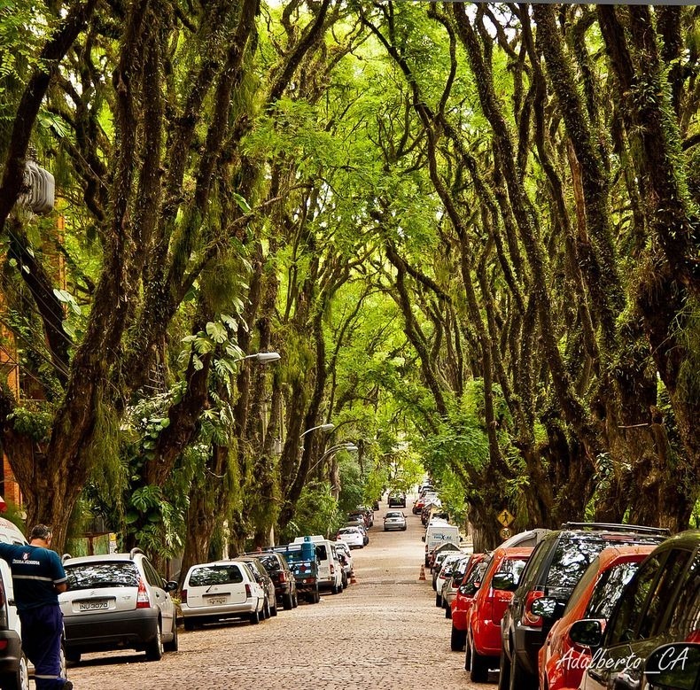 Inilah Jalan Raya Paling Rimbun Sedunia 195342_jalanbagus3