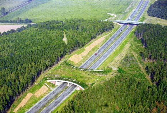 Hebat! Belanda Punya 600 Jembatan Khusus Hewan 182655_jem1