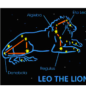 Personality of Leo, the Lion - July 23 to August 22 Leo