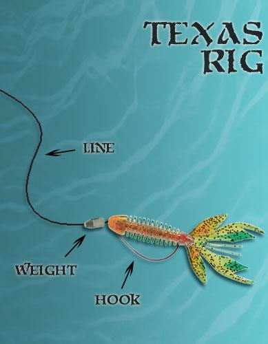 Fundamentos de Pesca con la armada Texas Rig por José Manuel López Pinto Texas