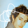 Shane Wilson Adam-Brody-adam-brody-233960_100_100