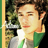 Shane Wilson Adam-adam-brody-65367_100_100