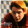 Steveny's links Fred-and-George-fred-and-george-weasley-653388_100_100