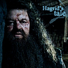 Les Professeurs - Reste 4/4 Hagrid-harry-potter-106422_100_100