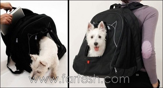     Crazy_Backpacks_10