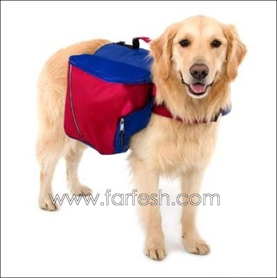     Crazy_Backpacks_19