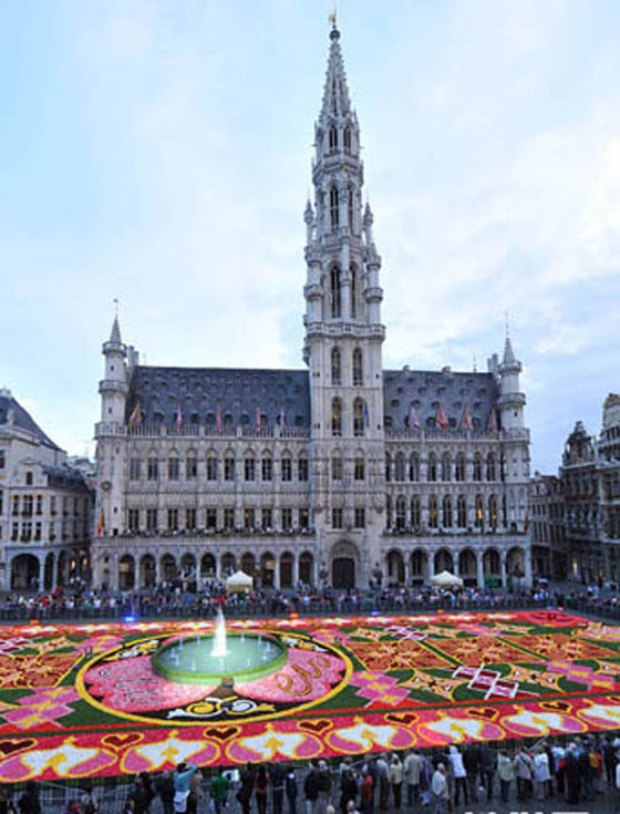 بروكسل تعرض اكبر سجادة زهور وسط 100 الف زائر  Fl12