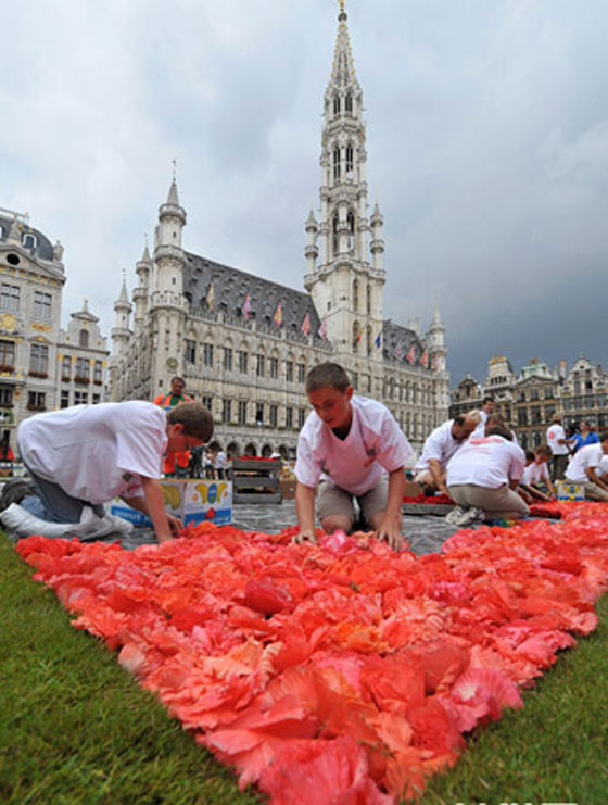 بروكسل تعرض اكبر سجادة زهور وسط 100 الف زائر  Fl13