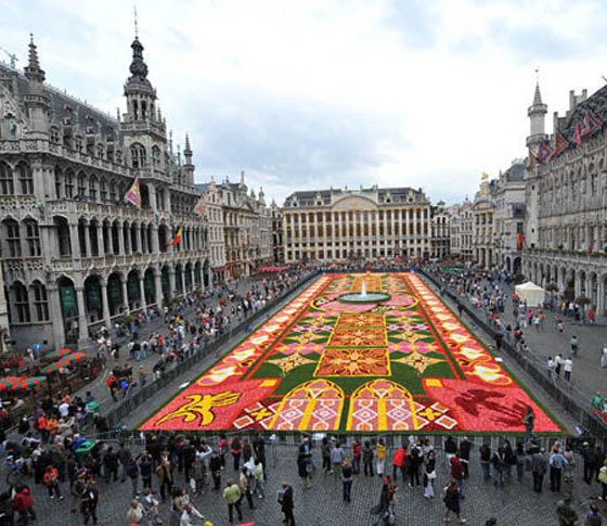 بروكسل تعرض اكبر سجادة زهور وسط 100 الف زائر  Fl6