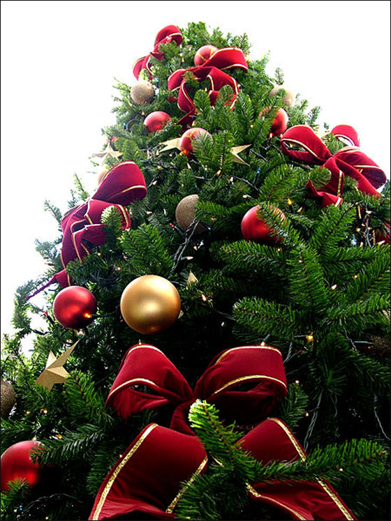 شجرة عيد ـــــــــالميلاد.. ّّ~~~~ Christmas_tree