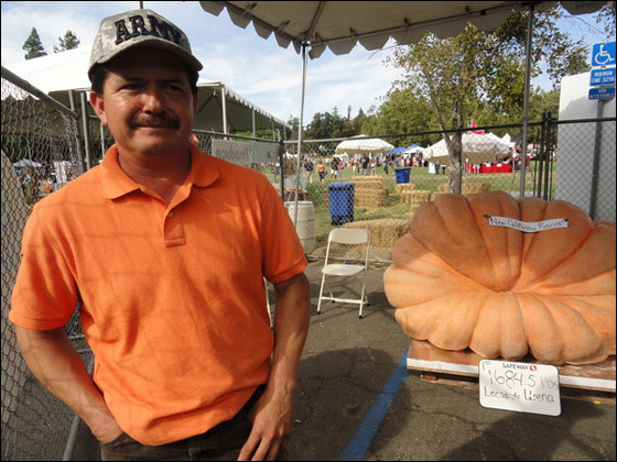 اكبر يقطينة بالعالم Biggest_Pumpkin_01