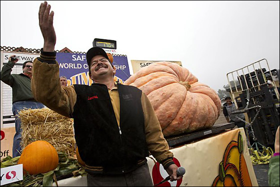 اكبر يقطينة بالعالم Biggest_Pumpkin_12