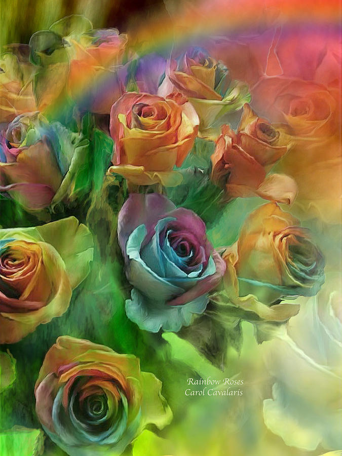 Te regalo una rosa - Página 6 Rainbow-roses-carol-cavalaris