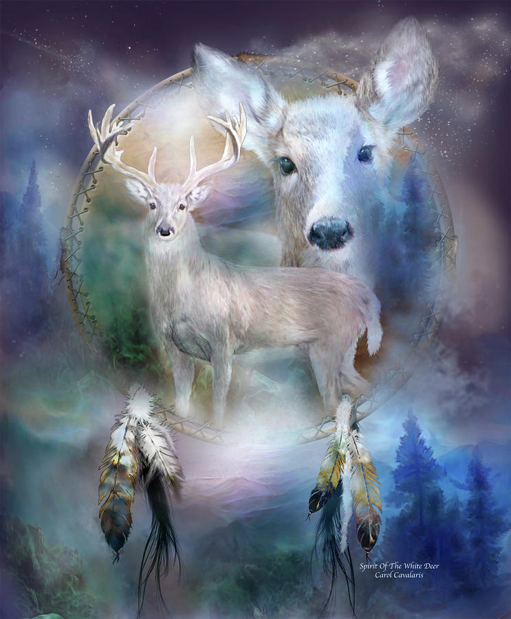 Deer Augmentations Dream-catcher--spirit-of-the-white-deer-carol-cavalaris