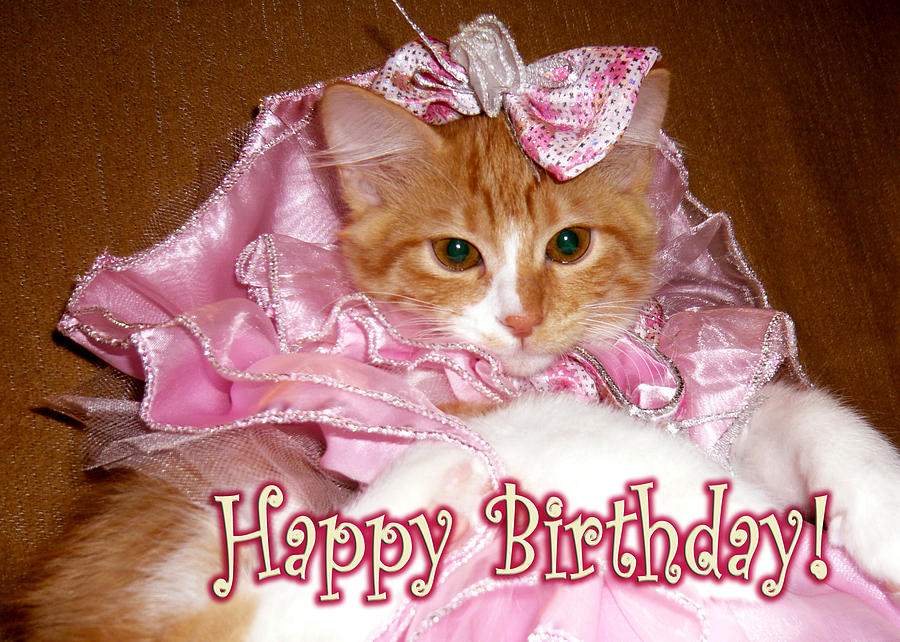 Happy Birthday Maggie! Princess-kitten-happy-birthday-michelle-dokos