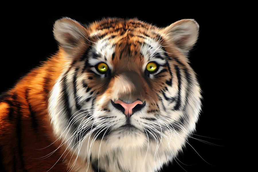 حصرياً رندرات حيوانات (النمر) (tiger) على انميات نايس  Siberian-tiger-julie-l-hoddinott