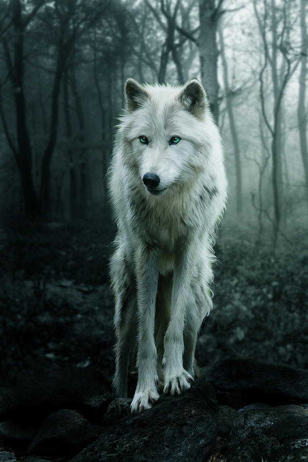 The Idle - Sign Ups - The Spirits Are Idle Here... The-white-wolf-julie-l-hoddinott