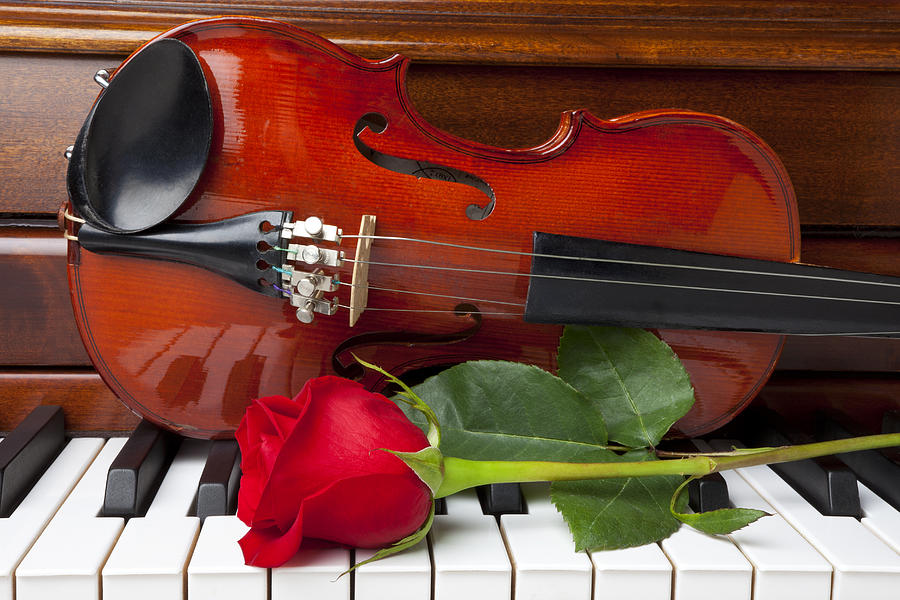 CANCIONES TIERNAS, PORQUE YO QUIERO Y ME APETECE - Página 14 Violin-with-rose-on-piano-garry-gay