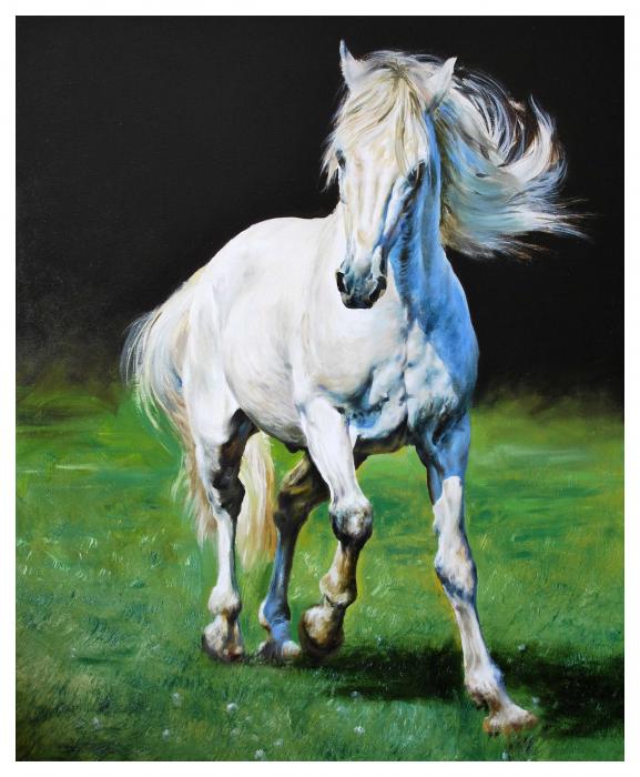 Adda Faery Queen 1-white-horse-manuel-garcia