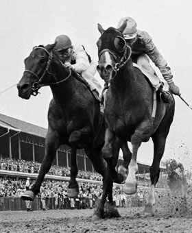 Northern Dancer Horse_01