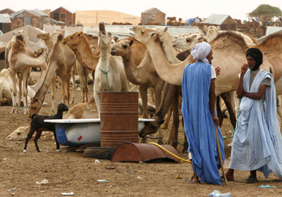 مناظر من بلادي(موريتانيا) Dirtycities_20