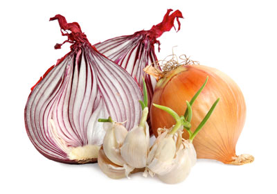 Lufte gripit te derrit me qepe dhe hudhra Healthiest-food_onions-garlic