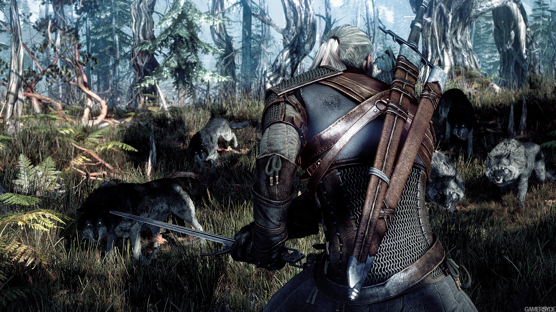 Witcher 3 Image_the_witcher_3_wild_hunt-22370-2651_0006