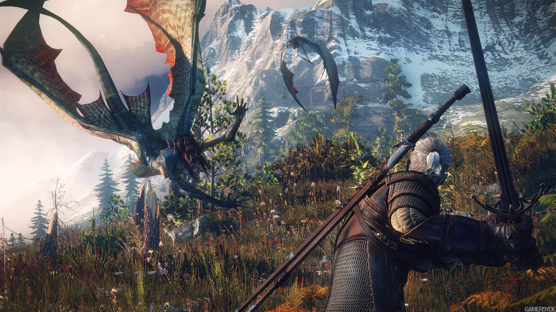 Witcher 3 Image_the_witcher_3_wild_hunt-22370-2651_0009
