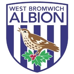 SORTEO PARA COGER EL MALAGA West-bromwich-albion-40857