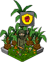 personnages habbo (images) - Page 4 Edito_set_guerillero