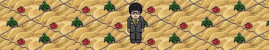 Les news d'habbo Sand_article_530x100