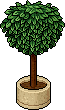 Des news pour les futurs lieux publics ! Room_cof15_tree1_64_0_0