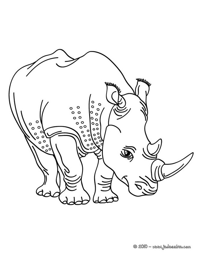 Draw Something Rhinoceros-2-01-l8h_plf